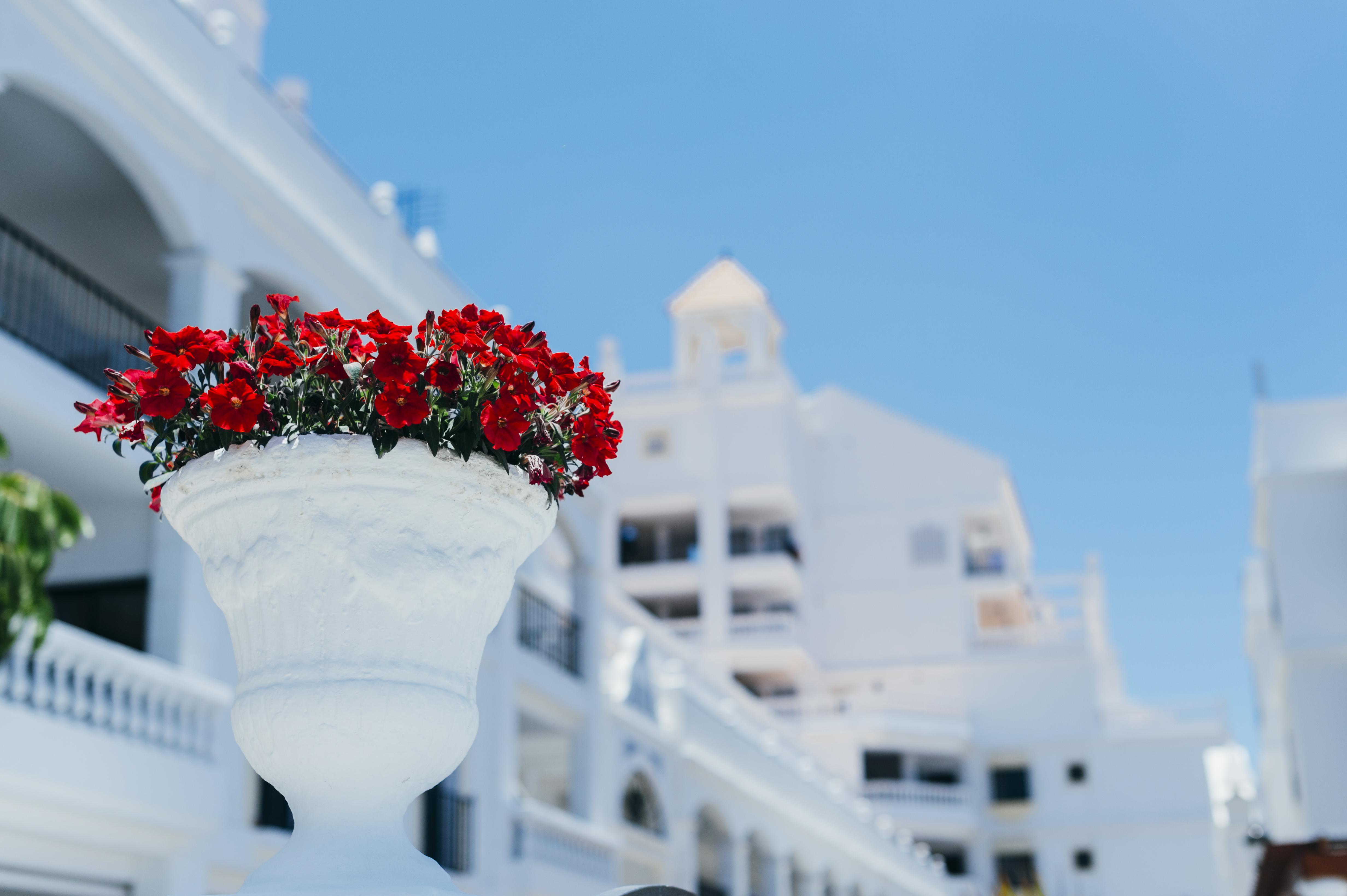 Apartahotel Hollywood Mirage - Excel &